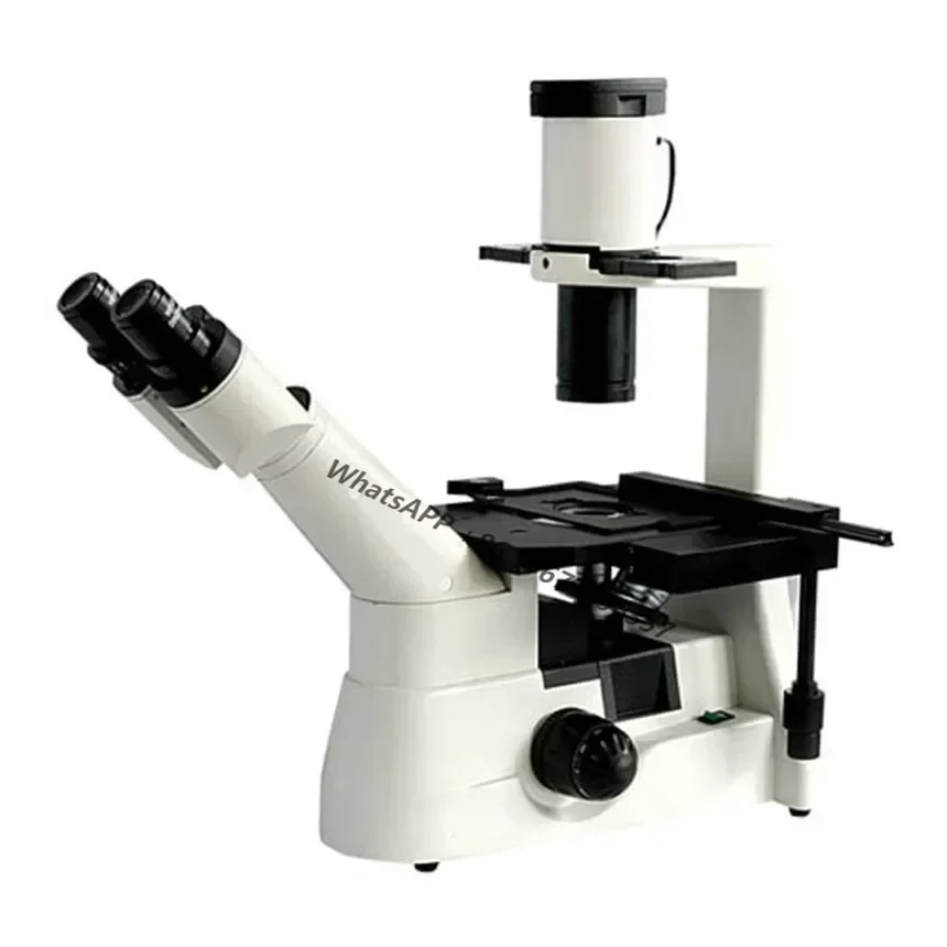 

FE12403 40-1000x Medical Lab Biological Inverted Microscope Fluorensense Microscope