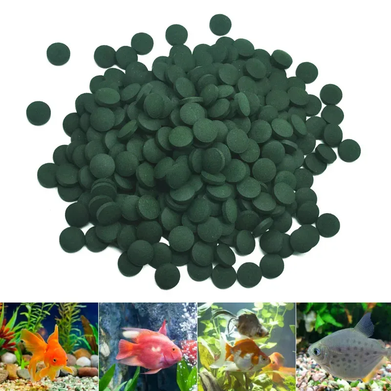Fotografia 4: 200 peças comprimidos de espirulina enriquecimento favorito comida para animais de estimação peixe cristal vermelho camarão comida para animais de estimação