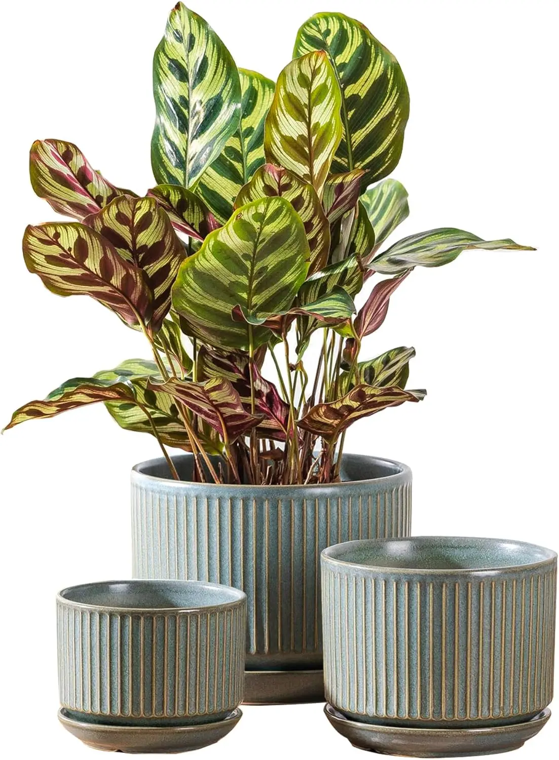 

Набор из 3 зеленых керамических горшков для растений, 4.3+5.5+6.7 дюймов, для комнатных цветов, с дренажным отверстием, поддоном и сетчатыми вкладышами, полосатые
