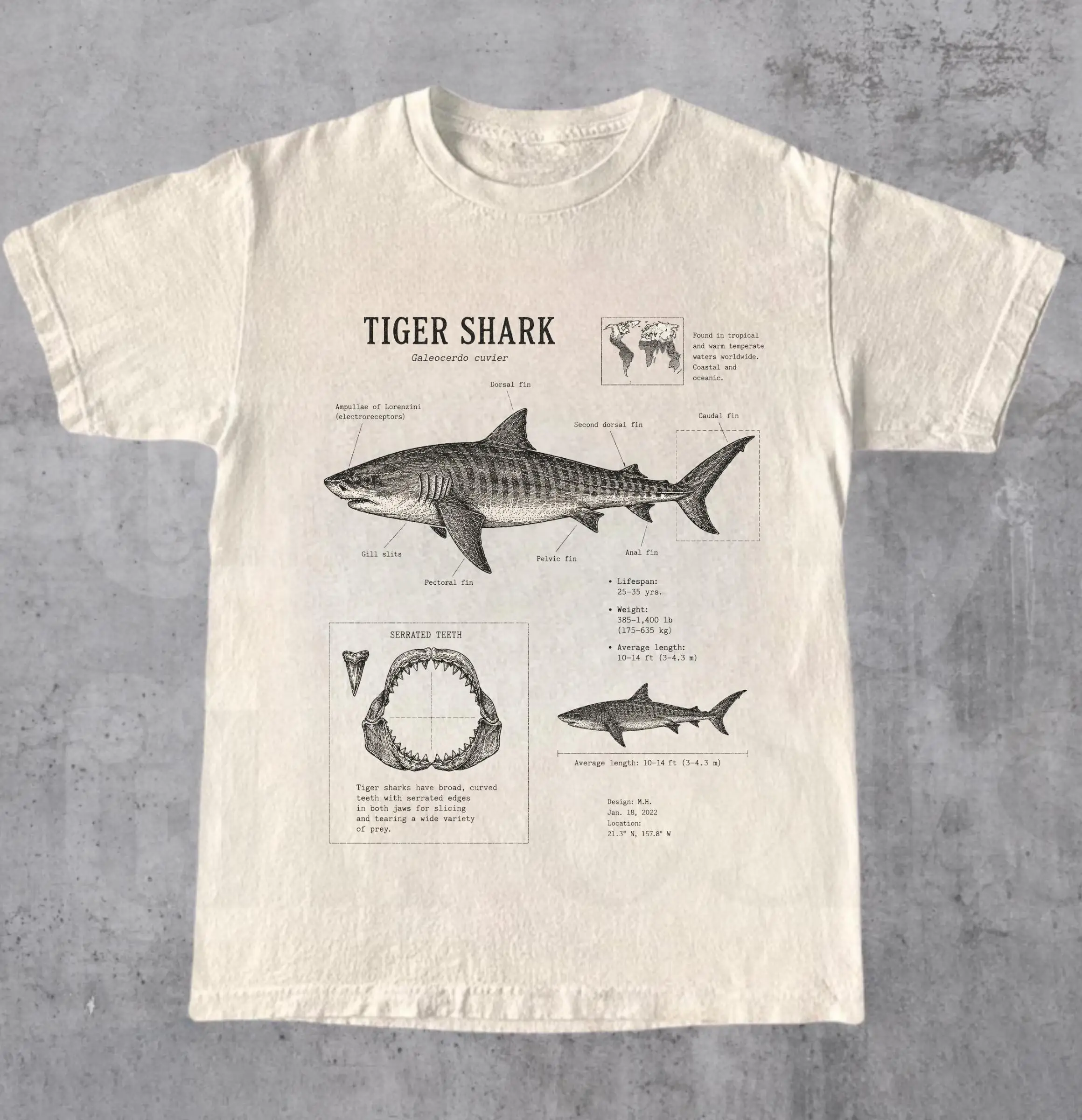 Tiger Shark Anatomy T-Shirt | Vintage Marine Illustration, Ocean Science Tee