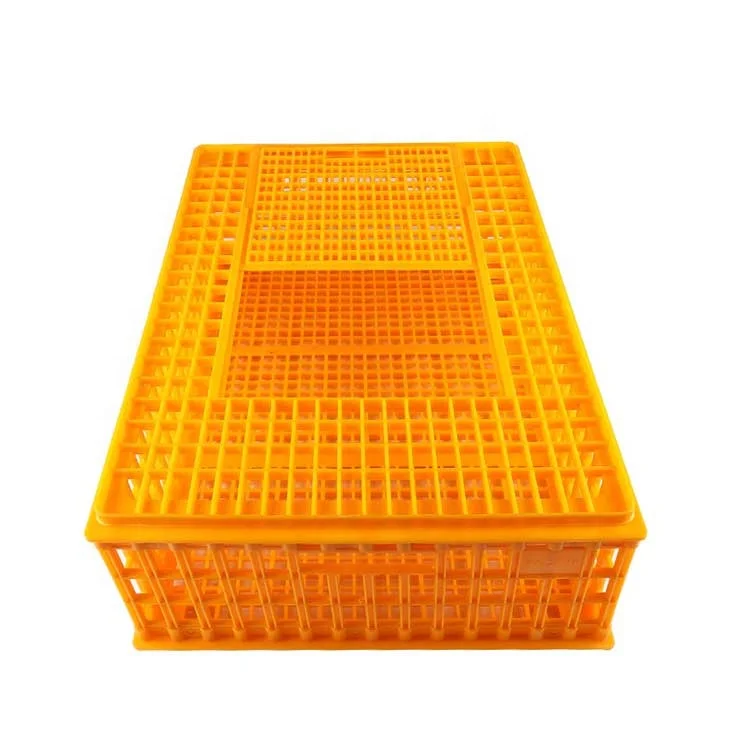 

Manufacturer Transport Cage Chicken Duck Goose Crate Farm Equipment Poultry Crates Plastic Transport Basket China Geshifeng 2pcs