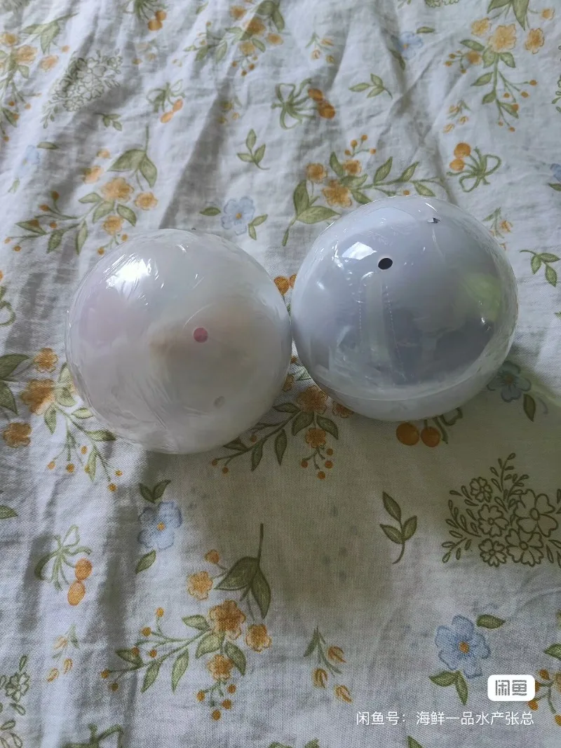 Bandai Pokemon Figu…