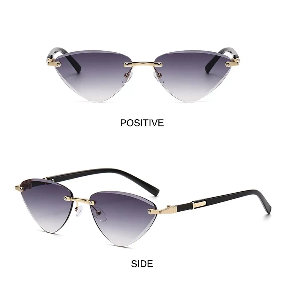 Fashion Triangular Cat Eye Sunglasses Punk UV400 Protection Unique Temples Shades Cut-Edge Hip-Hop Sun Glasses Unisex