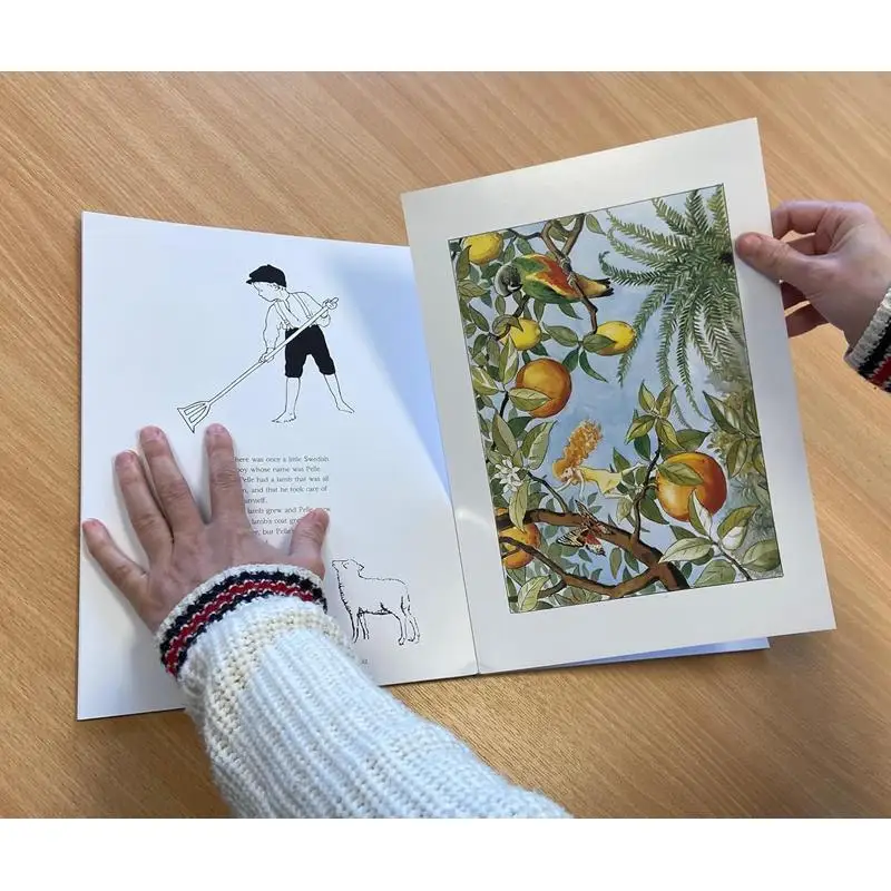 فن إلسا بيسكو 20 مطبوعات قابلة للإطار مطبوعة جدار إسكندنافية عتيقة كتب إلسا بيسكو فلوريس 9781782508861 كتاب