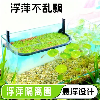 Feeding Duckweed Isolation Ring Aquatic Plant Seeds Ecological Micro Landscape Fish Tank Full Network Delivery ZR