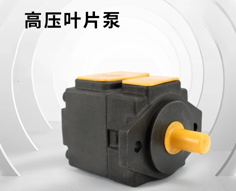 Low noise quantitative high pressure oil pump