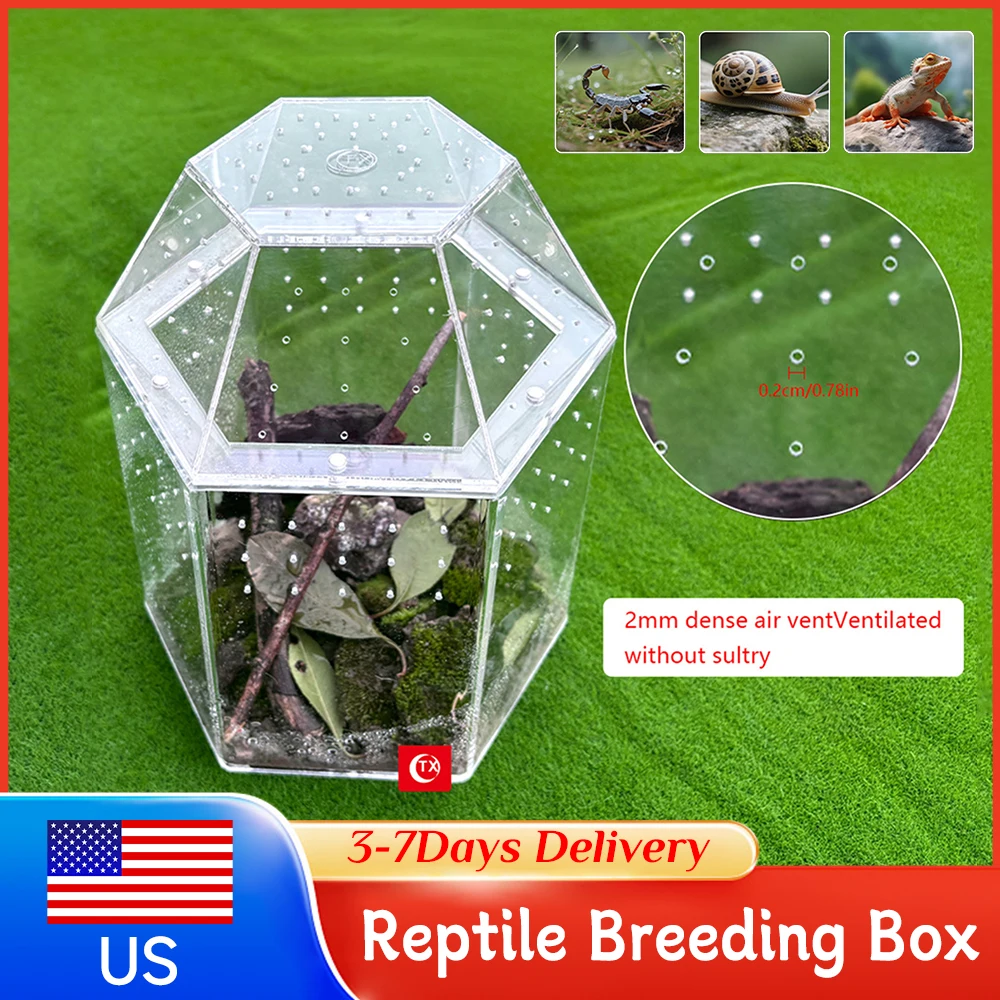 Acrylic Reptile Bre…