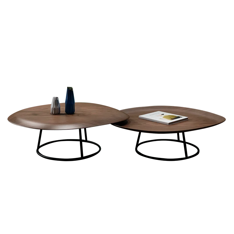 CXH Modern Minimalist Designer Special-Shaped Size Circle and Creative Coffee Table Living Room Combination