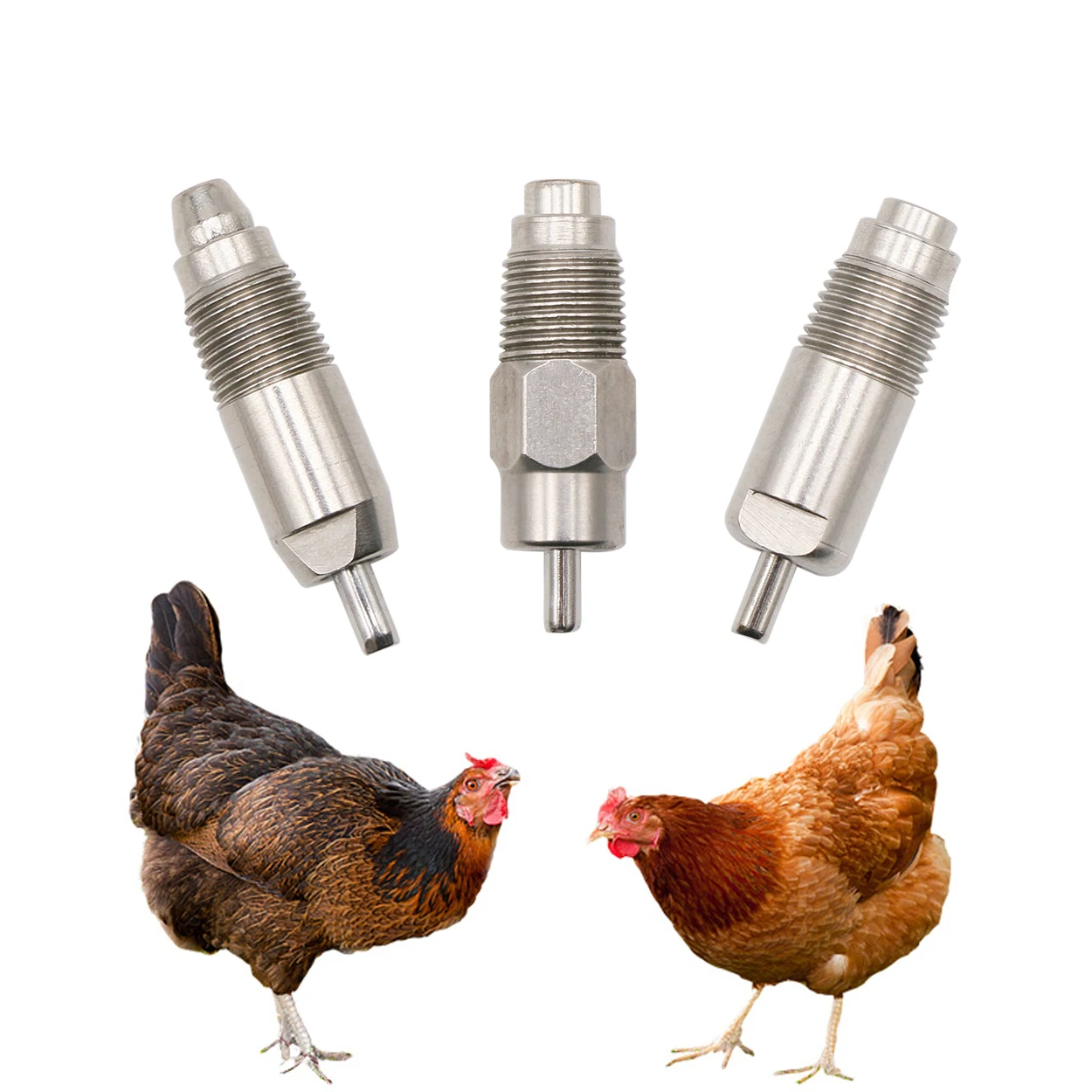 20 Pcs Stainless Steel Chicken Rabbit Nipple Drinkers 360 Degree Nipple Drinker  Poultry farms Poultry Feeding Equipment