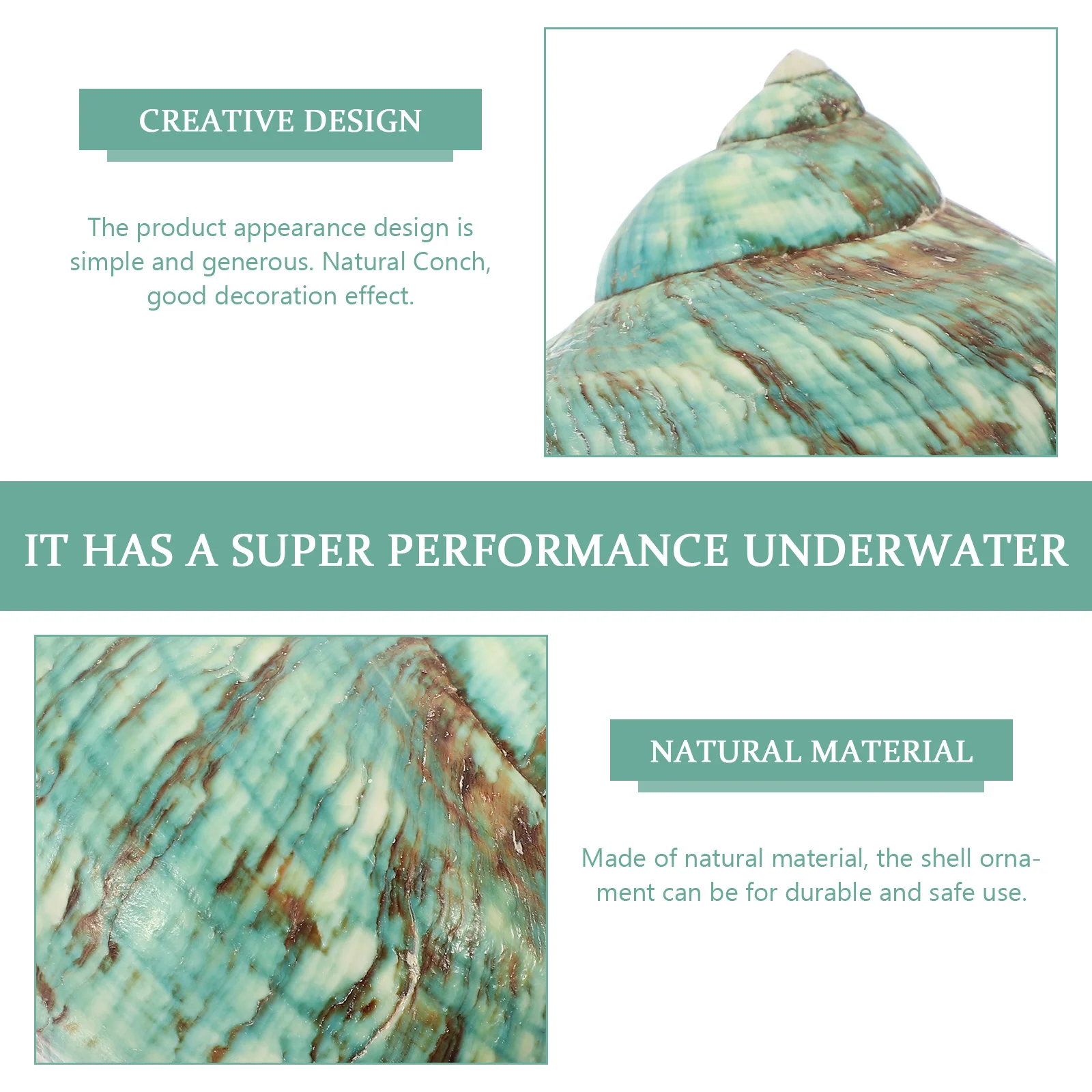 

Fish Tank Conch Adorns Natural Shell Set Landscaping Shell Decor Visual Appeal for Home Office Crafts Conch DIY Accessories