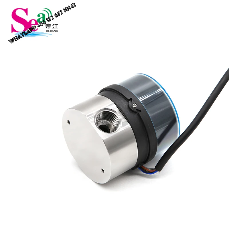 High Precision SS304 Diesel Flowmeter with LCD Display RS485 Modbus 24VDC Water Fuel Oil  Measure Gear Flow Sensor DN15