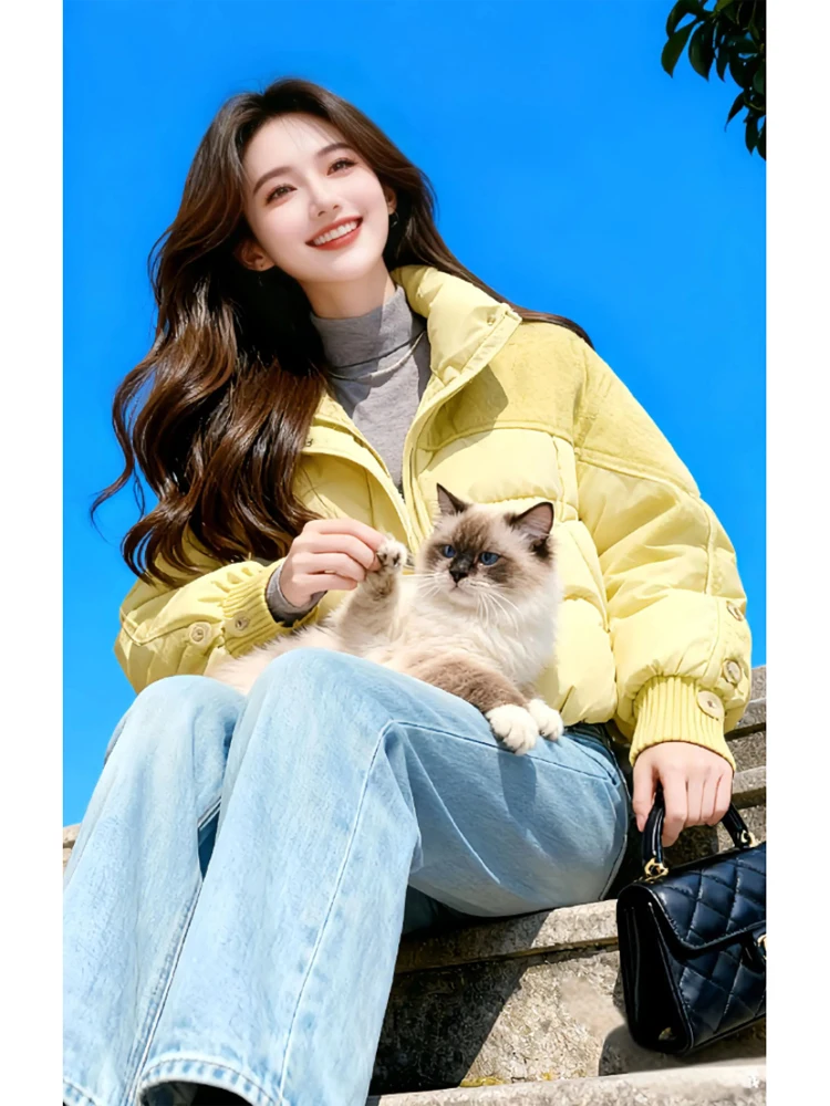 

Утепленная хлопковая куртка для женщин, новая зимняя модель, с воротником-стойкой и отложным воротником, маленький размер, корейская версия, в стиле пуховика.