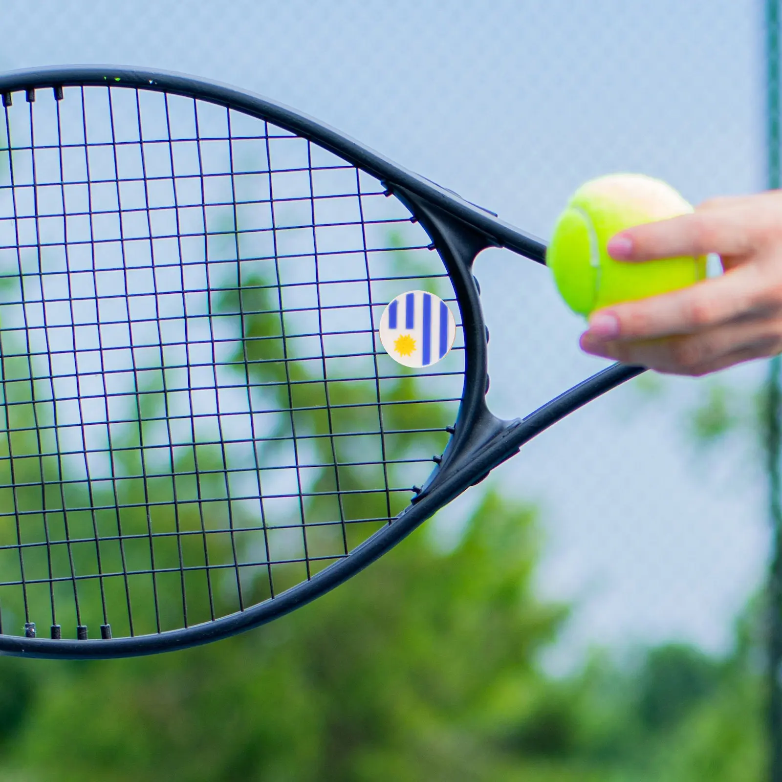 

6 шт. декоративных виброгасителей для теннисных ракеток из силикона, с высокой эластичностью, снижающие ударную нагрузку для игроков в теннис и другие теннисные виды спорта.