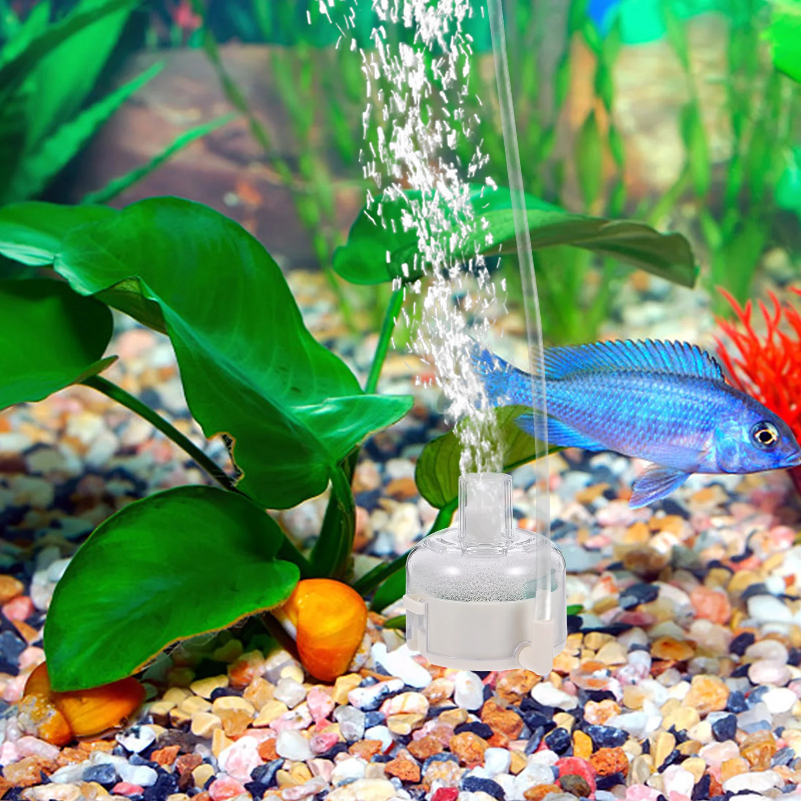

Quiet Abs Internal Aquarium For Fish Tank Supplies Submersible Water Purification System With Stable Tool For