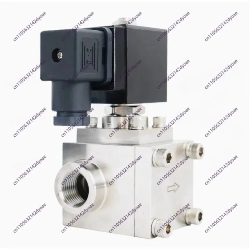 0~300 Bar Stainless…