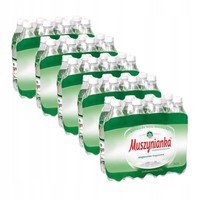 Muszyna plus Natural mineral water highly mineralized low-saturated CO2 0,6 L x 40 pieces