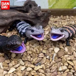 Original Bandai Gashapon Big Biological Map Gecko Lizard Blue-Tongued Skink Simulation Figure Movable Animal Action Model gift