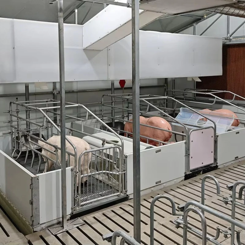 

Stable quality, safe pig feeding equipment, pregnant dolphin feeding equipment, piglet care equipment, for animal husbandry