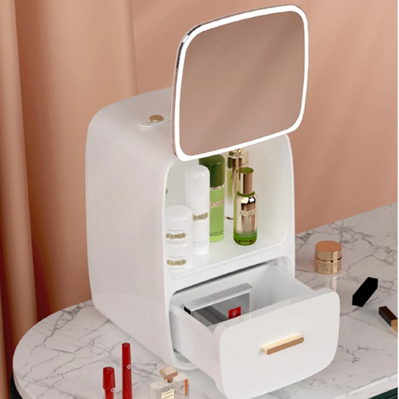 8L small portable beauty refrigerator makeup beauty mini refrigerator