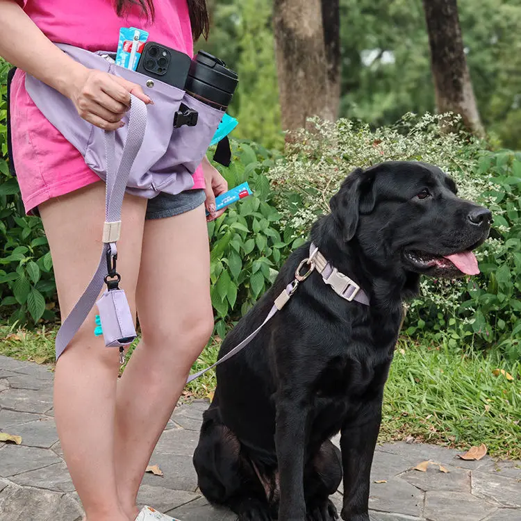 Thumbnail 4 - #7 Trending Puppy Walking Bags Right Now