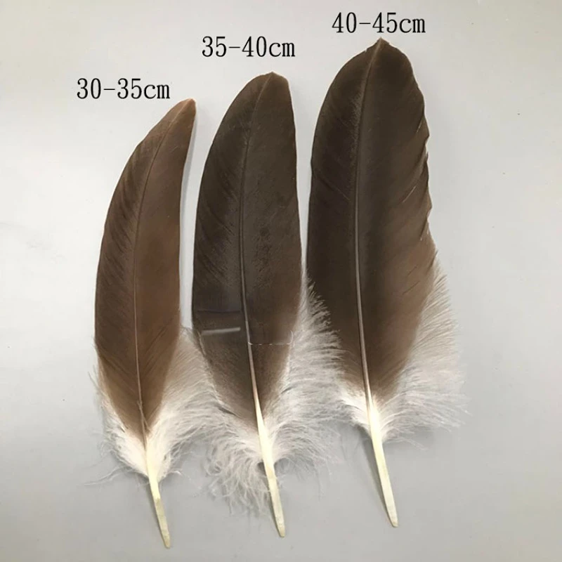 2PCS Rare Eagle Feather Handicraft Specimen Feather Decoration Big Feathers Home Decor Bird Feathers