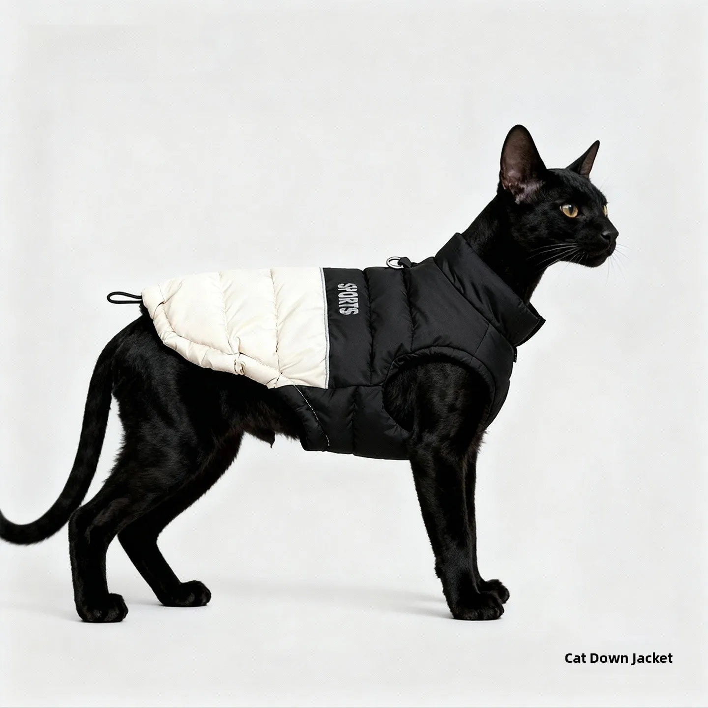 Thiened Winter Clot…