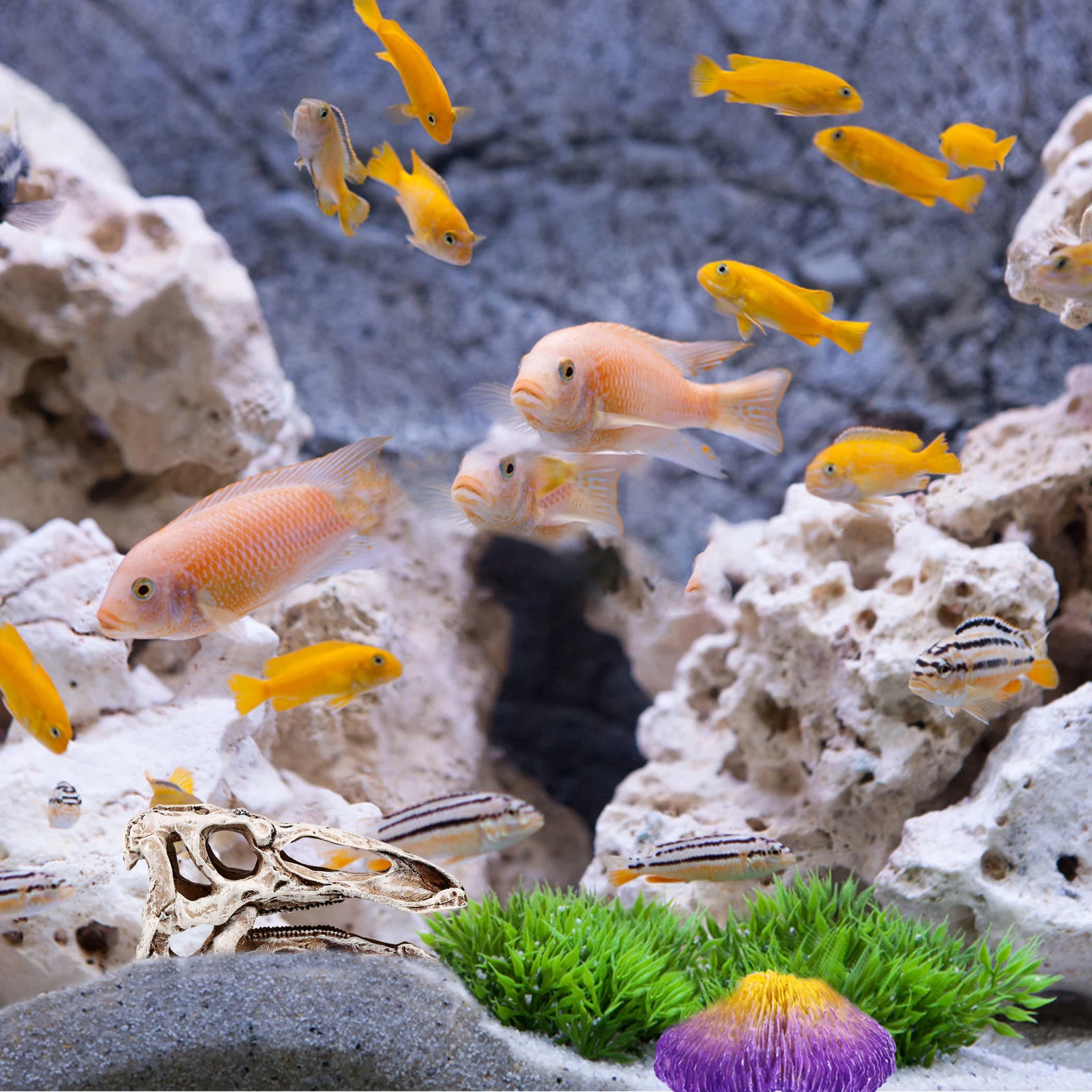 

2PCS Skull Decor Premium Resin Durable Fish Tank Aquarium L scape Accessories Reptile Hiding Cave Safe Underwater Pet Supplies