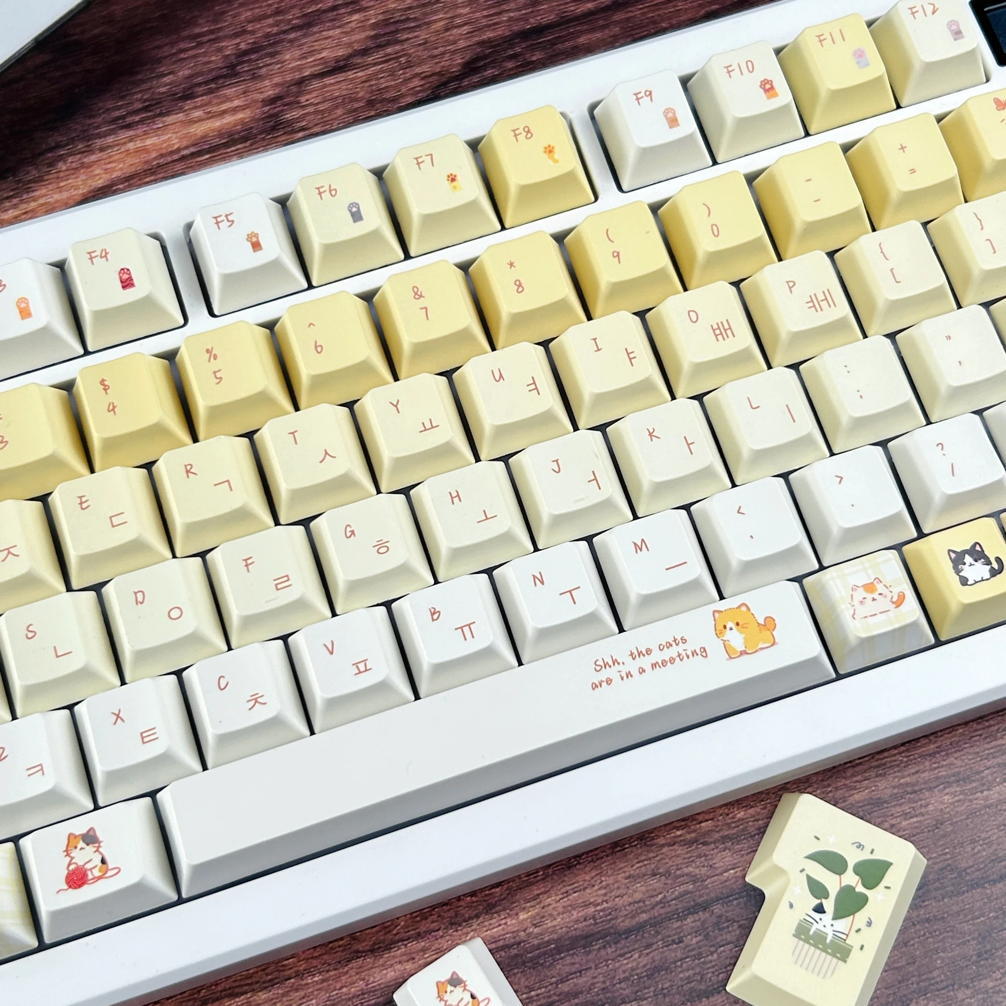 MAIMOOO Cute Cat Korean Keycaps MOA Cherry Profile Cream Yellow Gradient PBT Custom Russian Thai Keycap for Mechanical Keyboard