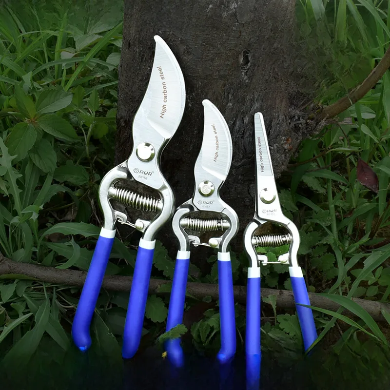 

Pruning Shears Fruit Tree Scissors Cut Flowers Gardening Scissors Floral Pruning Branch Scissors Flower Twig Clipper Pruning Coa