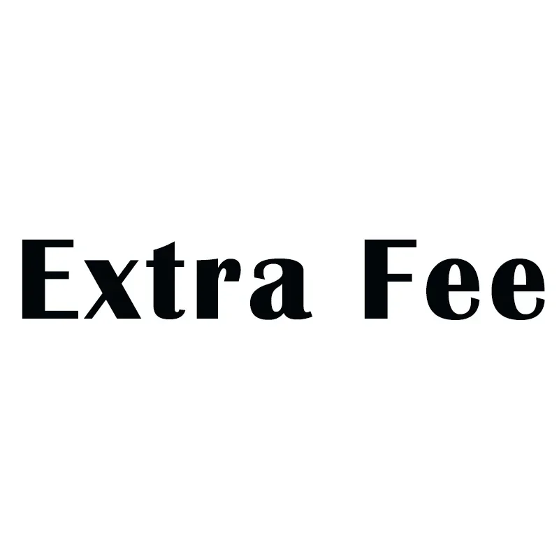 

Extra fee Payment Link (2)