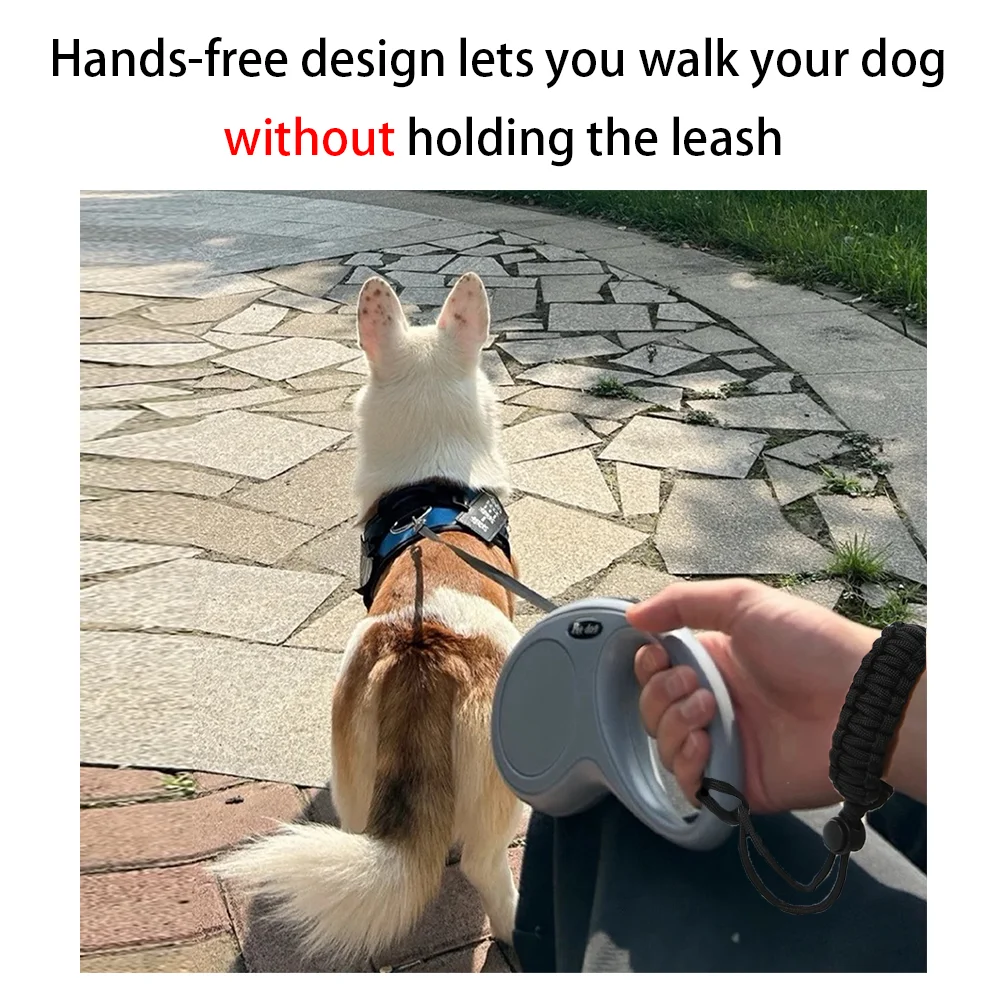 Thumbnail 2 - #62 Dog Leads Ranking List in 2026