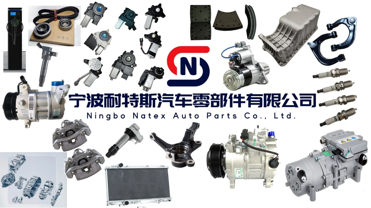 OE 5AEC-8103020C Model BC28 New Energy Vehicle Air Conditioning Compressor for Dongfeng Ruqi BYD Qin EV Tang  Song Yuan Han PLUS