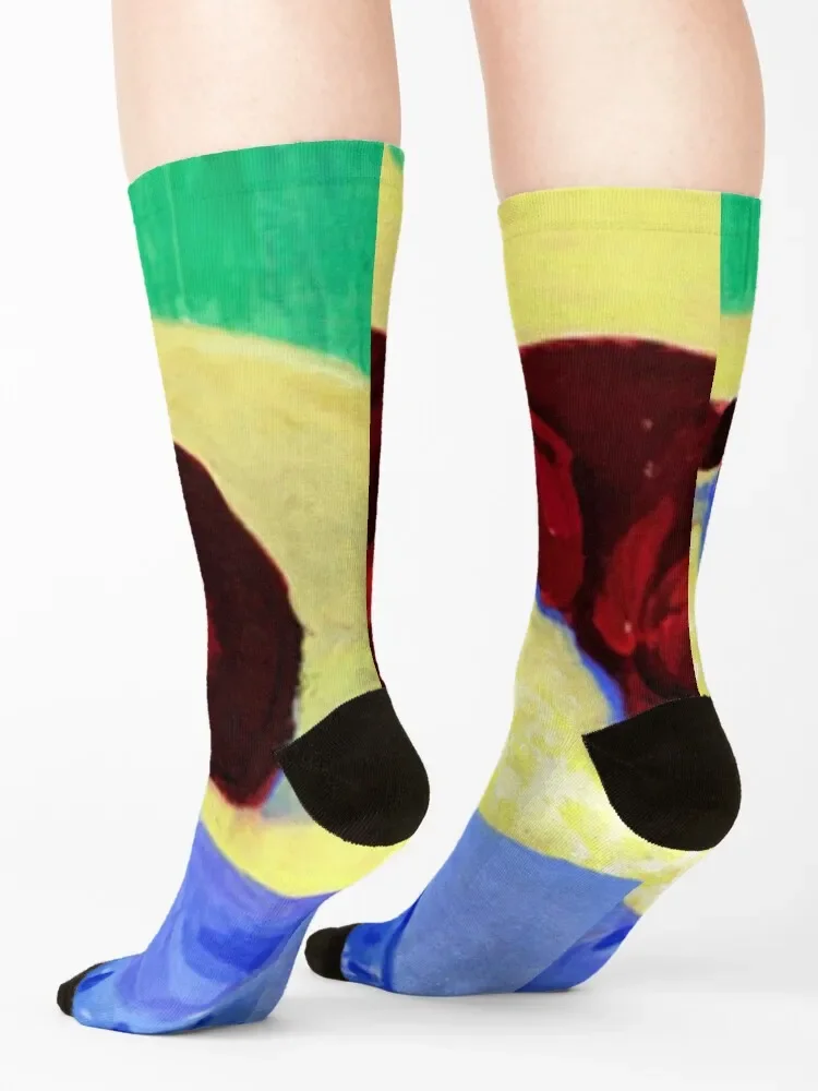 ديفيد هوكني 1995 المعرض الأصلي 'الكلب 43' ملصق ملصق الجوارب سعيد أنيمي تسلق الجوارب للرجل المرأة