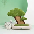 Bosque Verde