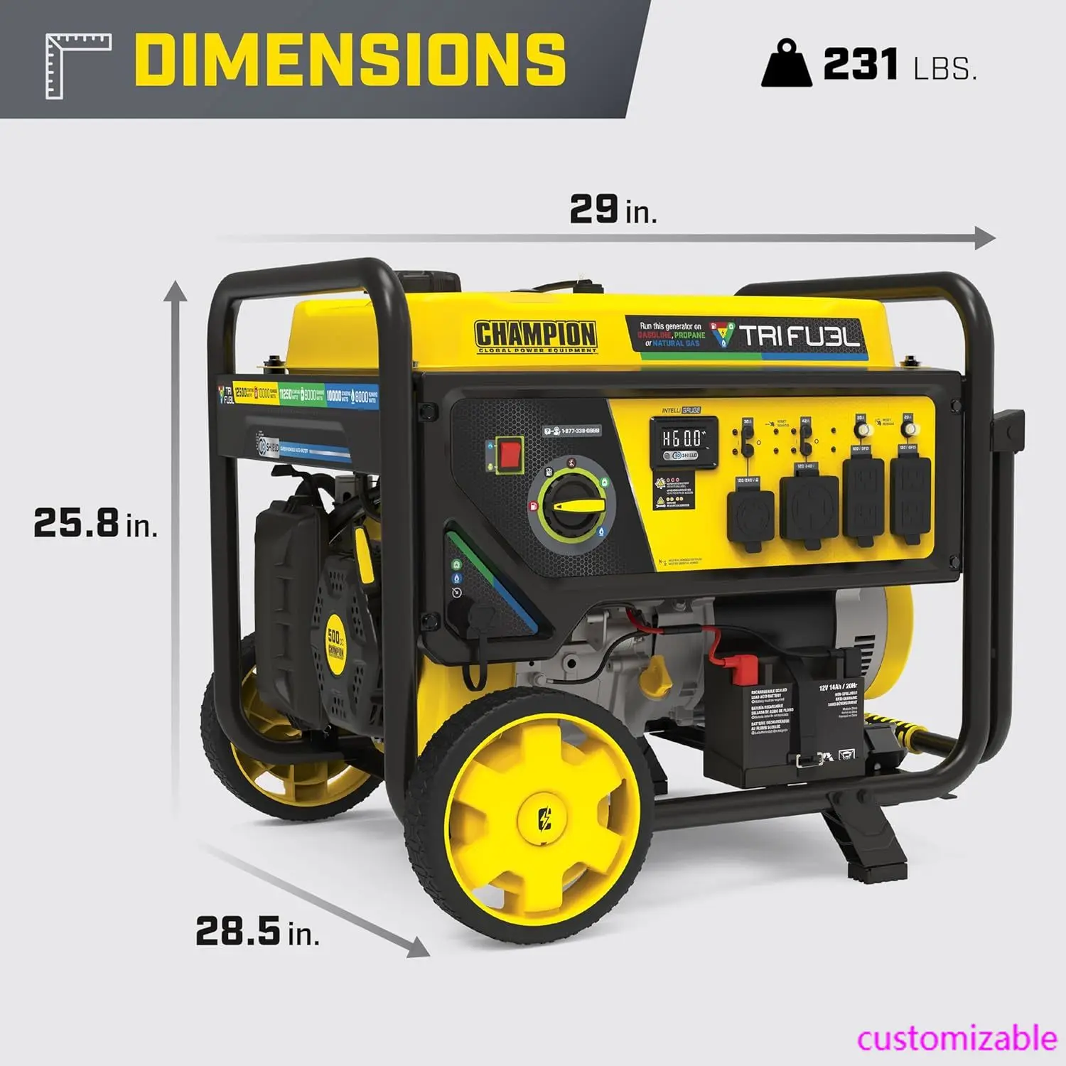 

Generator,12,500-Watt Electric Start Tri Fuel Home Backup Portable Generator with CO Shield