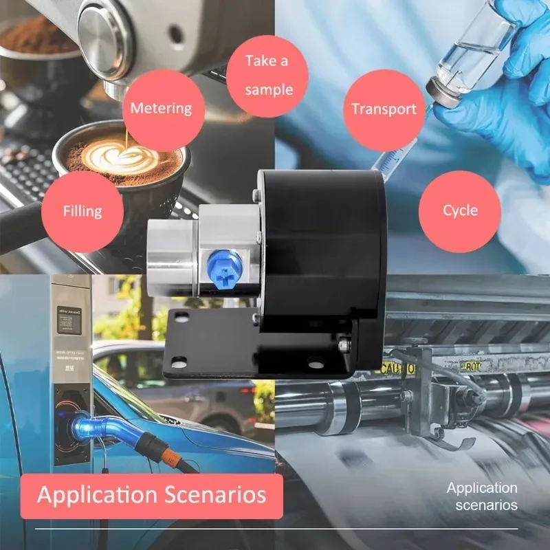 

Micro Pumps Spray Coding Gear Pump for Coffee Machine Small Flow Stable Drive Metering Pump Filling Pump Head