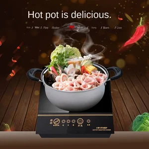 طباخ كهربائي صغير بالحث المغناطيسي ، التحكم في الأسلاك ، وعاء ساخن مدمج ، طباخ شعلة ، وعاء ساخن مقاوم للماء ، غلاية شاي ، طباخ ، موقد ، 800 واط أعلى 6 موقد كهربائي 2 شعلة مبيعات - رقم 3