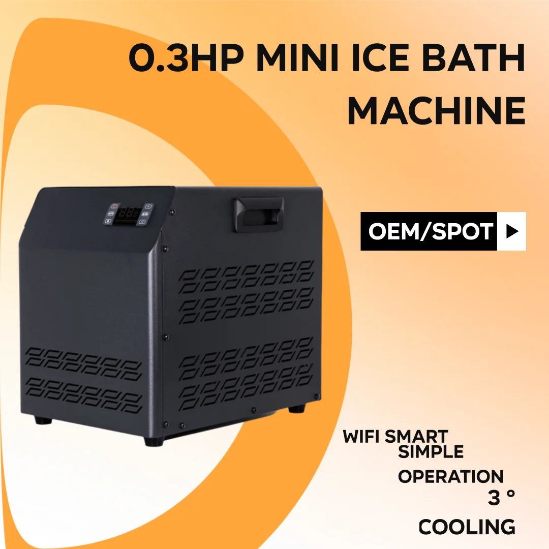 Professional 0.3HP DFMINI03-B Ice Bath Chiller OEM Stainless Steel Water-Cooled Compressor Pump 220V
