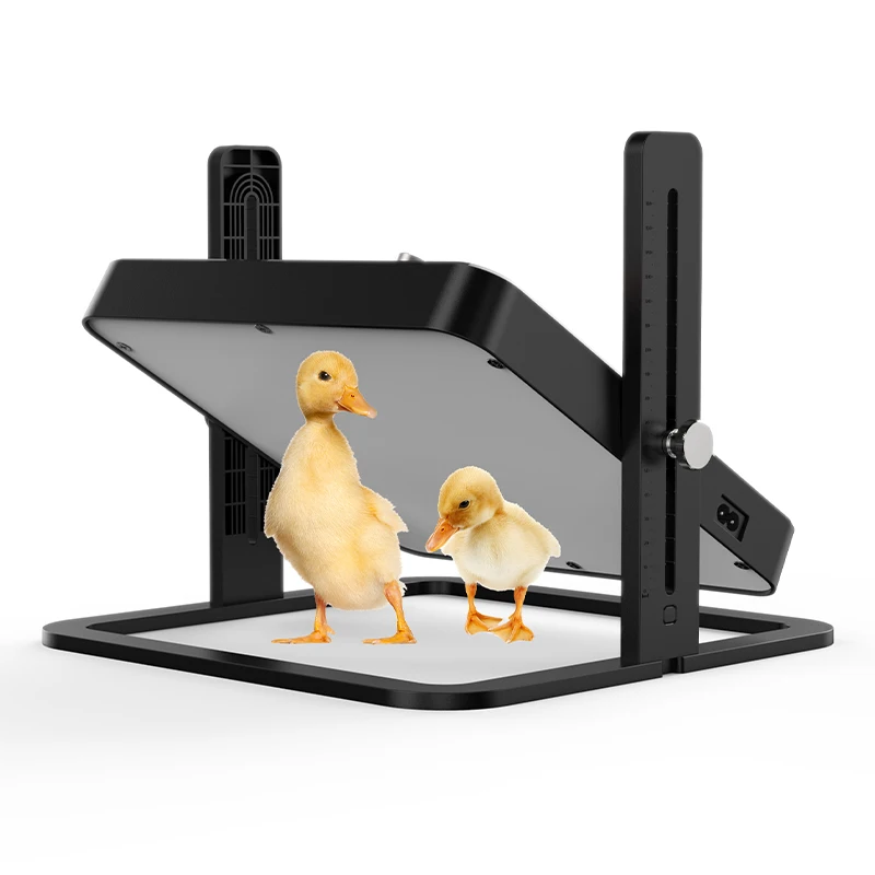 

Poultry Food Fertile Egg Shamo Chicken Equipment for Livestock Brooder Machine