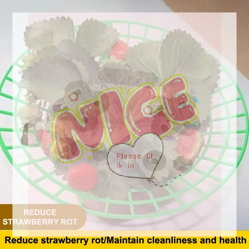 【BA】Support pour plantes de fraises avec pieds, support de culture rond en plastique pour garder les baies propres et empêcher la pourriture