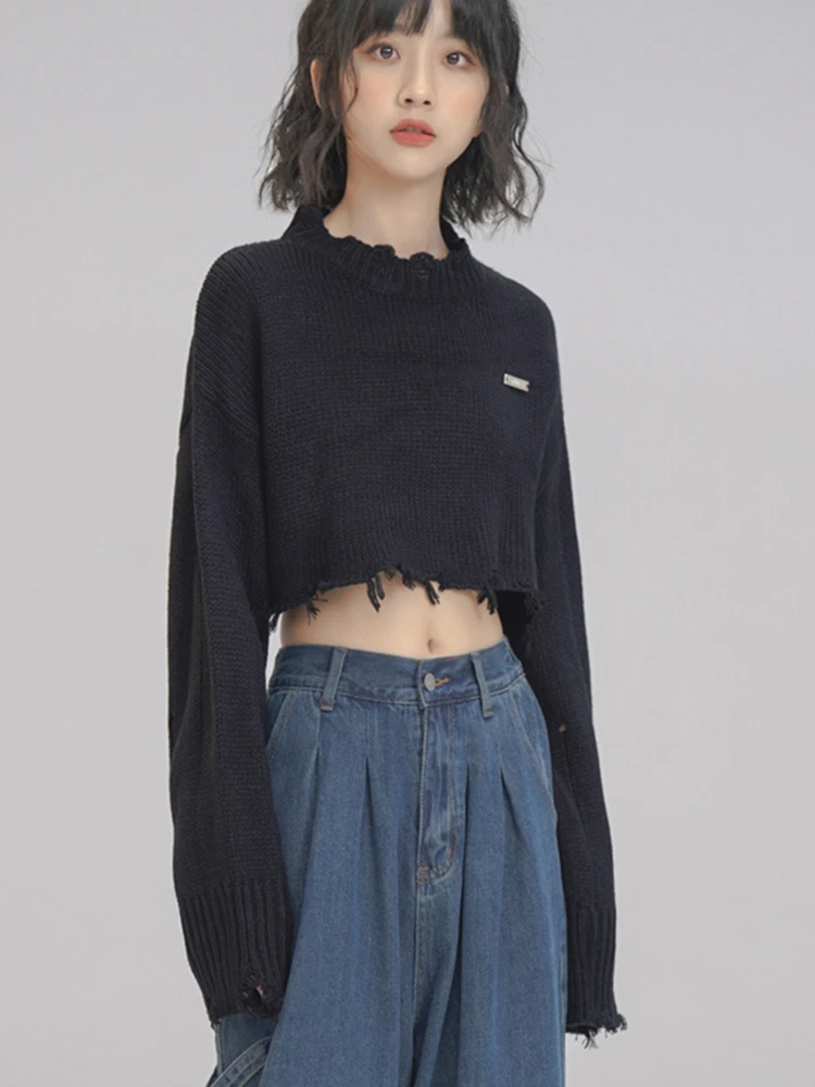 2023 Spring Summer Korean Fashion Women Crop Tops Long Sleeve O-Neck Sweater Solid Color Knitwear Streetwear Loose Casual Tide