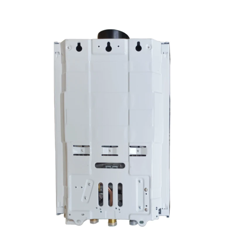 Calentador de agua de gas universal de 10 litros, calentador de agua de gas tipo escape de combustión, géistentes de agua caliente