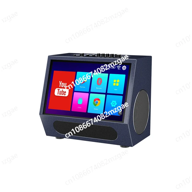 

Audio Display with System Microphone Lights Karaoke Speaker