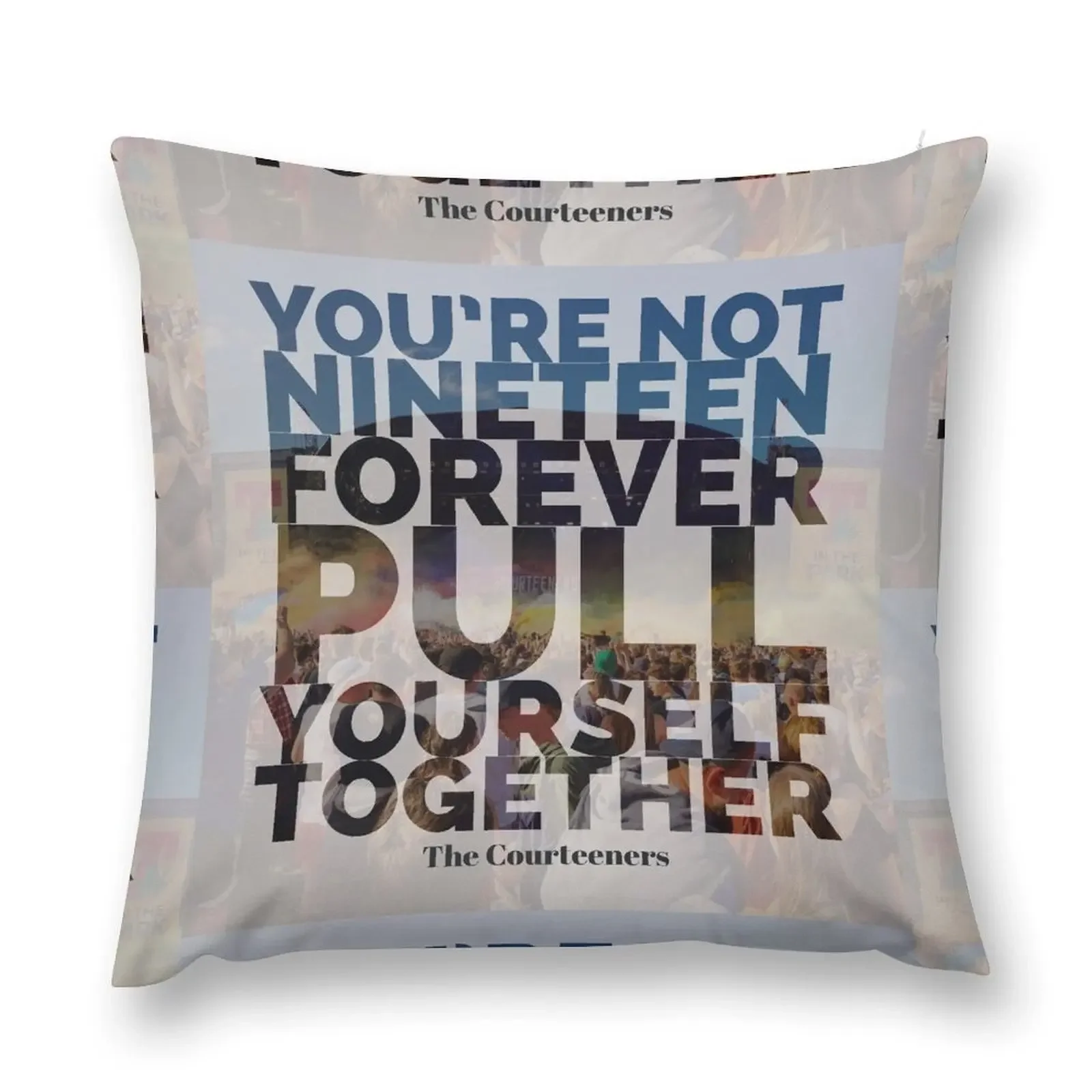 Not Nineteen Forever Lyric Graphic Throw Pillow Decorative pillow case sleeping pillows pillow