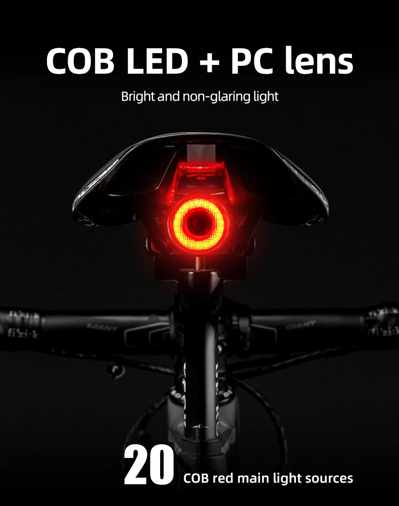 ROCKBROS Bicycle Smart Auto Brake Sensing Light IPx6 Waterproof LED Charging Cycling Taillight Bike Rear Light Accessories Q5