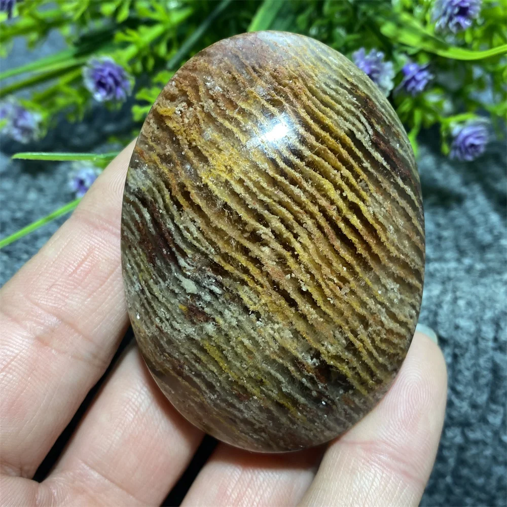Piedra preciosa cruda de palma de cuarzo fantasma Melaleuca de cristal natural - Piedra curativa pulida para meditación Decoración espiritual del hogar