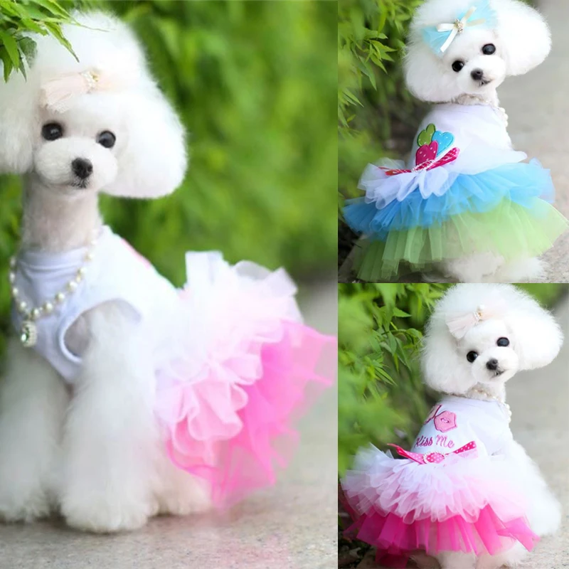 INS Cute Puppy Pet Dog Bowknot Dress Lace Skirt Princess Dress With Bow Cotton Small Dog Clothes Korean Style Clothing New