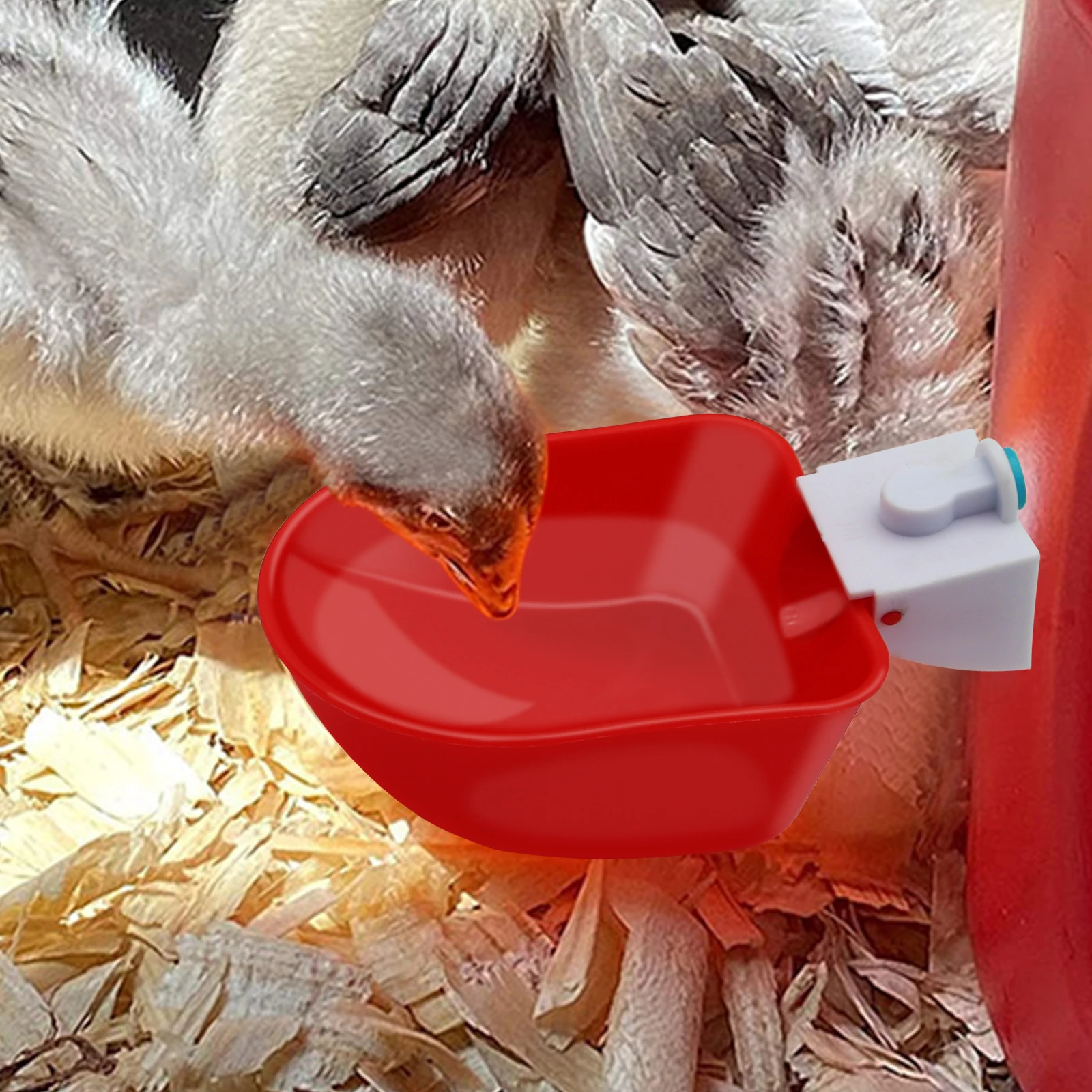 5Pcs Goose Duck Automatic Drinking Bowl Chicken Water Cup Waterer Bowl  Farm Poultry Waterer Drinking Bowls Water Dispenser