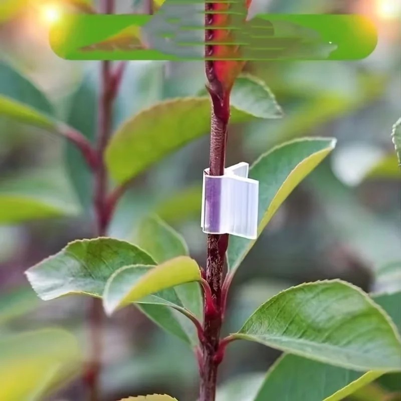 50pcs Agriculture Grafting Clips Plant Support Clips Reusable Plastic Garden Vine Climbing Fixed Clip Gardening Accessories