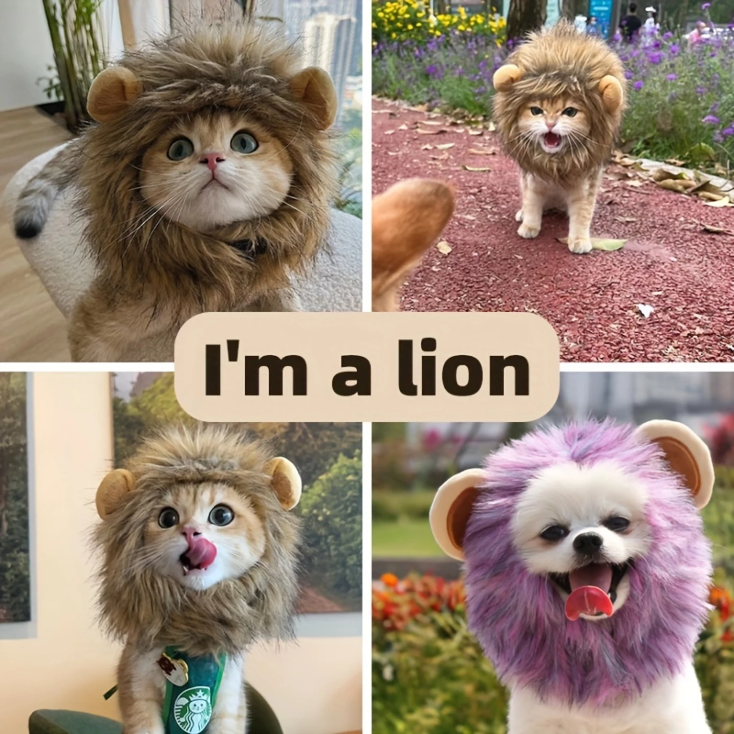 Halloween Cat Toys Cute Lion Mane Cat Wig Hat For Dogs And Cats Pet Cat Decor Accessories